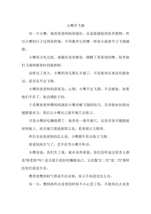 小鹰学飞翔-作文