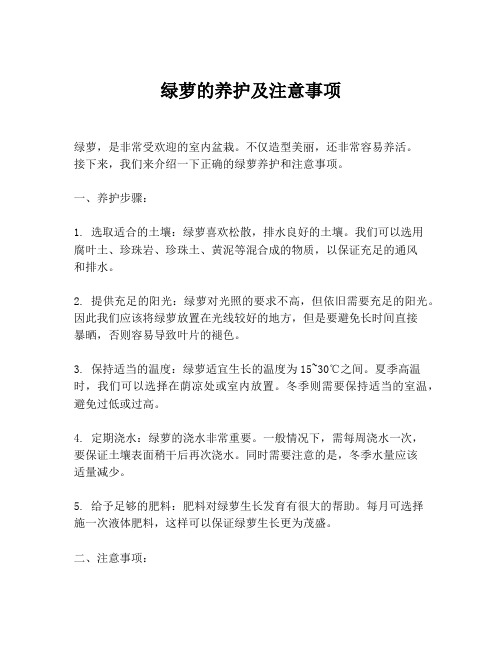 绿萝的养护及注意事项