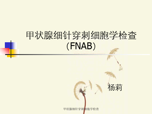 甲状腺细针穿刺细胞学检查