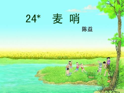 麦哨【定稿】1
