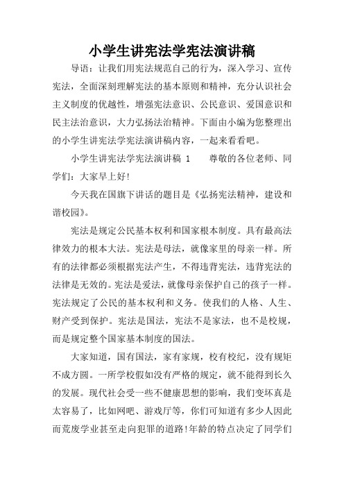 小学生讲宪法学宪法演讲稿