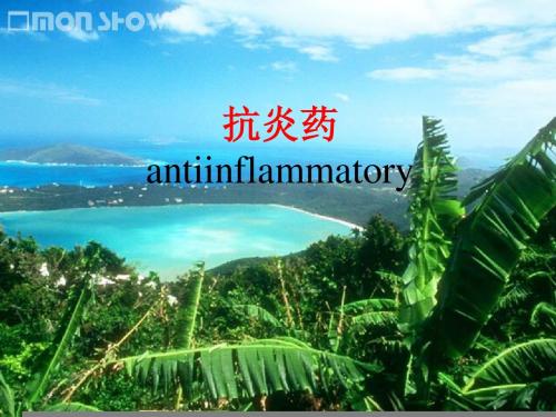 抗炎药(临床药理)