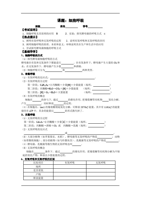 一轮复习：细胞呼吸复习教案