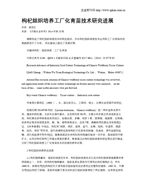 枸杞组织培养工厂化育苗技术研究进展