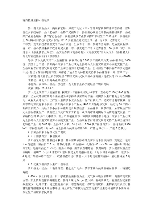长阳县白萝卜栽培现状及优势品种推荐