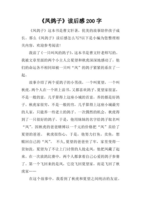《凤鸽子》读后感200字