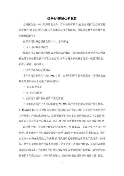 担保公司财务分析报告