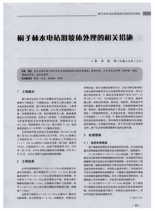 桐子林水电站滑坡体处理的相关措施