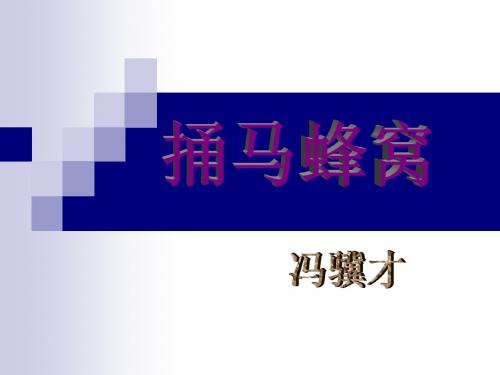 2.捅马蜂窝