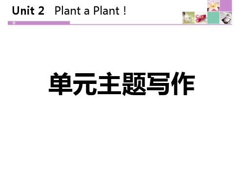 冀教版八年级下册英语《单元主题写作》Plant a Plant 说课复习教学