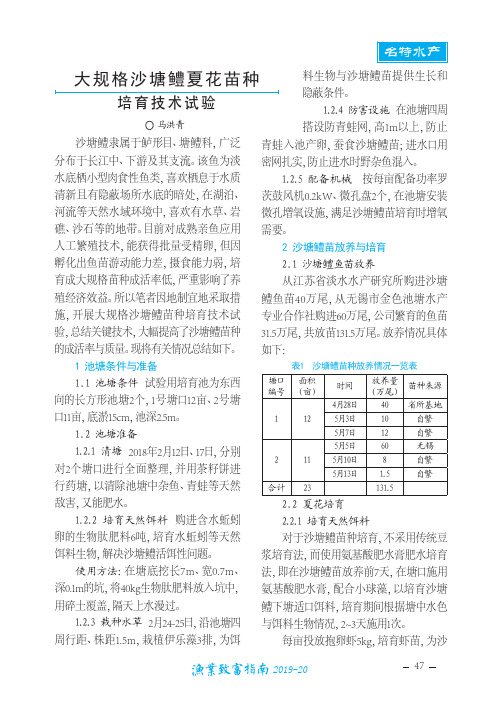 大规格沙塘鳢夏花苗种培育技术试验