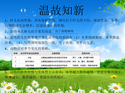 冀人版小学科学新版三年级下册科学课件第9课《动物的特殊感官》