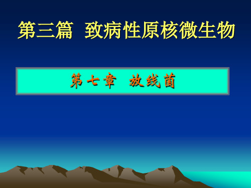 ppt6-放线菌-2