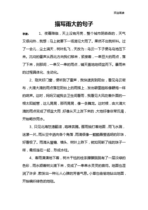 描写雨大的句子