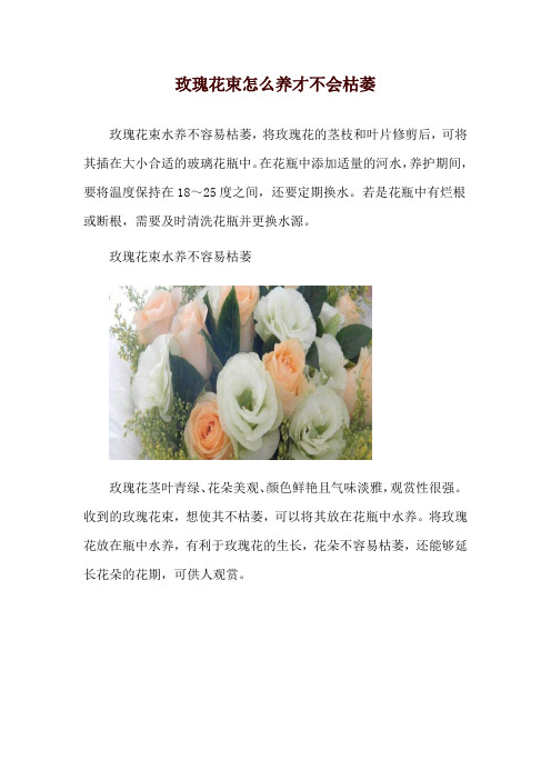 玫瑰花束怎么养才不会枯萎