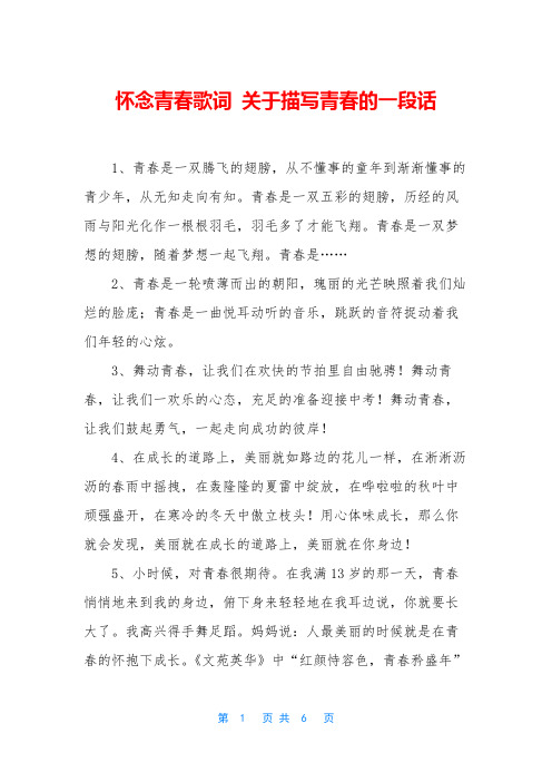 怀念青春歌词 关于描写青春的一段话