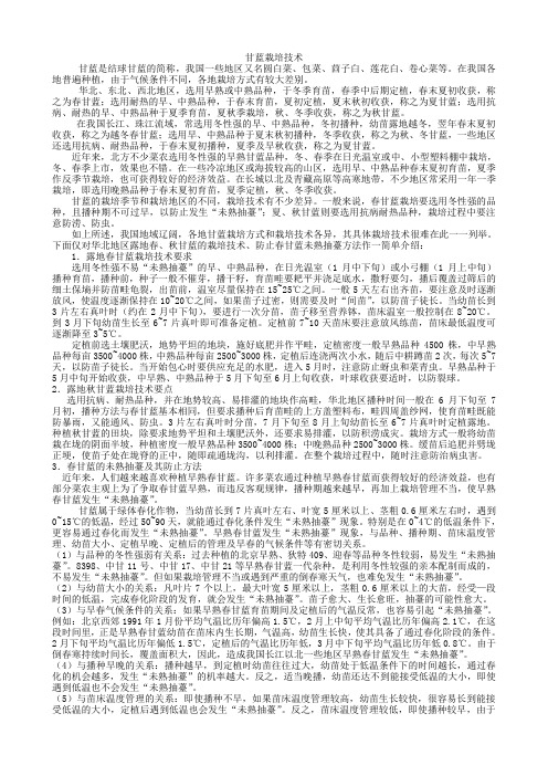 甘蓝蔬菜品种