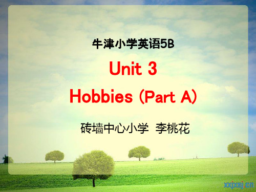 牛津小学英语5B(2).ppt