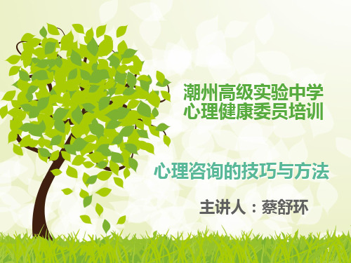 朋辈心理咨询 PPT课件