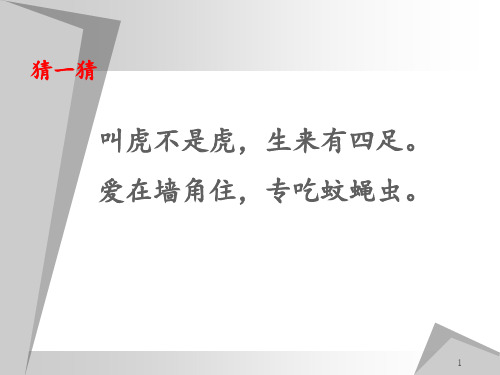 小壁虎借尾巴课件 ppt课件