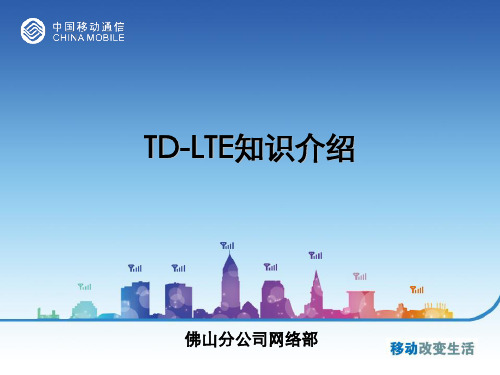 TD-LTE知识介绍(简版)