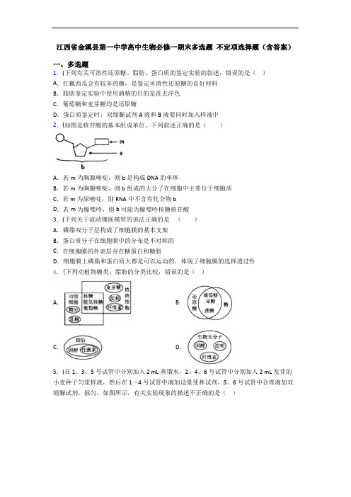 江西省金溪县第一中学高中生物必修一期末多选题 不定项选择题(含答案)