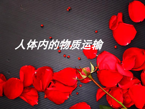 人体内的物质运输