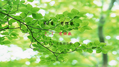 七年级数学上册 第2章 有理数2.1 有理数 1 正数和负数作业课件 华东师大级上册数学课件