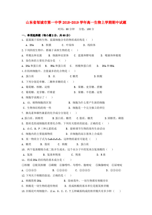 山东省邹城市第一中学高一生物上学期期中试题