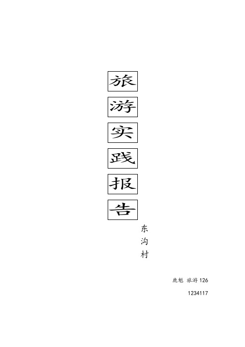大连东沟村旅游规划