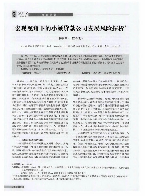 宏观视角下的小额贷款公司发展风险探析