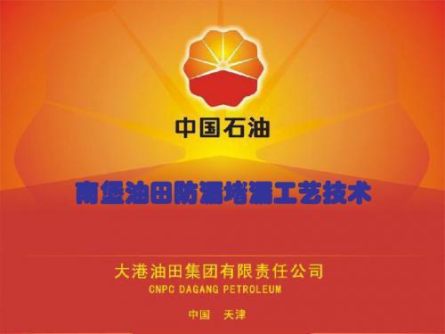 南堡防漏堵漏工艺研究