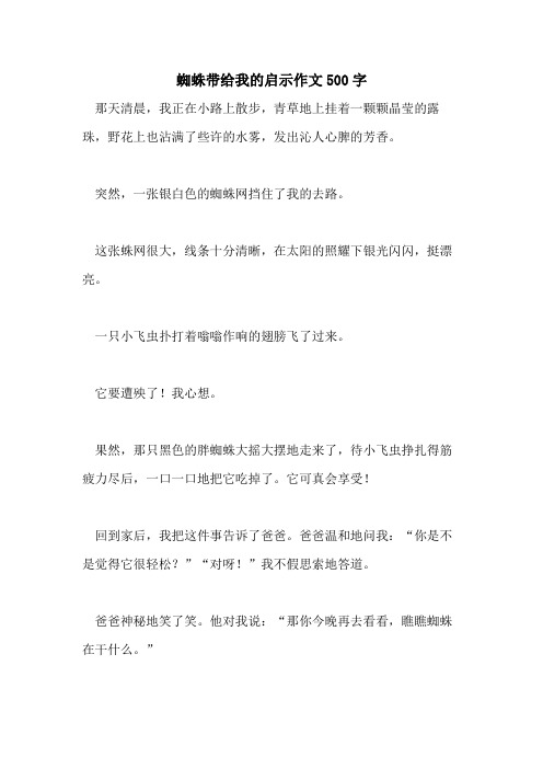 蜘蛛带给我的启示作文500字