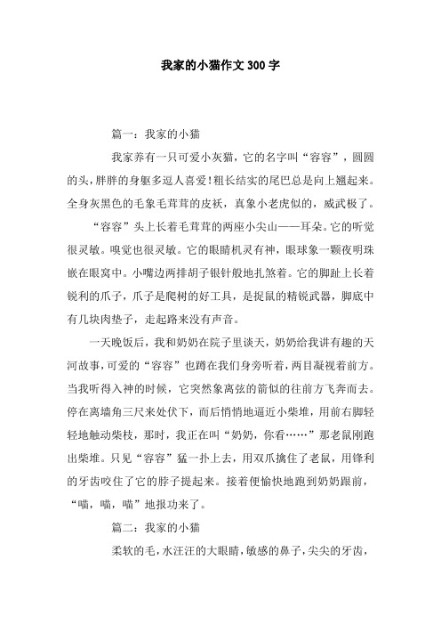 我家的小猫作文300字