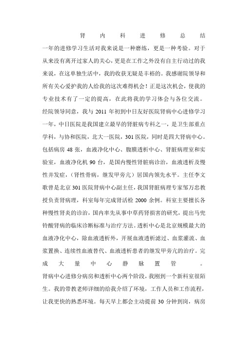肾内科进修总结