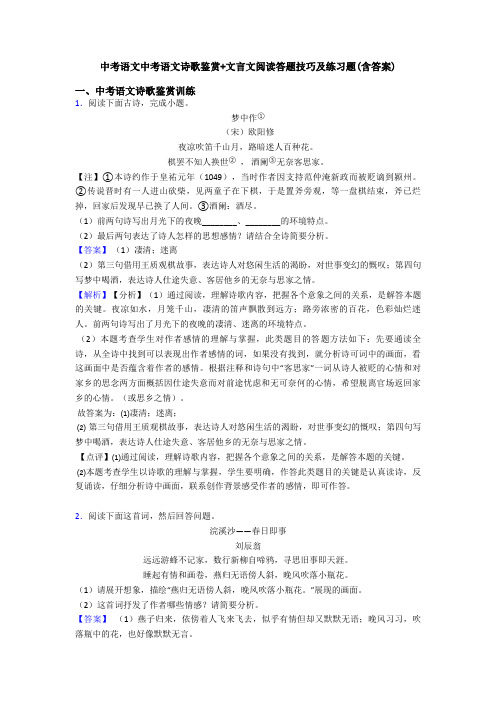 中考语文中考语文诗歌鉴赏+文言文阅读答题技巧及练习题(含答案)