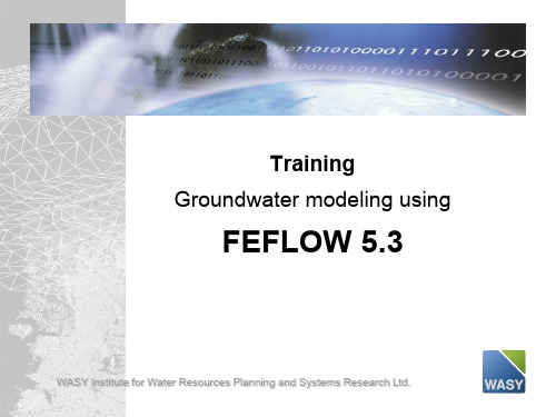 2020年地下水模型Feflow介绍