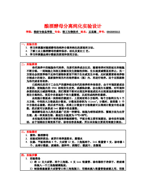 酿酒酵母的分离纯化实验