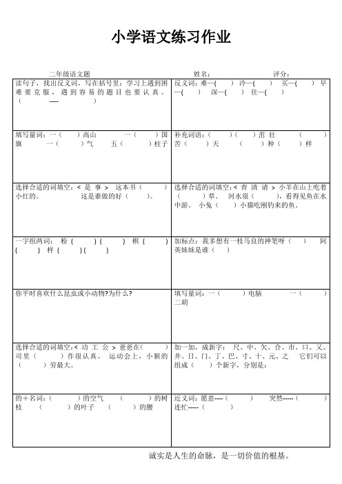 小学二年级语文精题选做系列II (27)