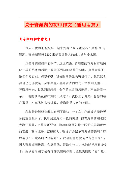 关于青海湖的初中作文(通用4篇)