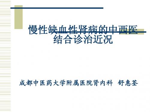 慢性缺血性肾病的中西医结合诊治