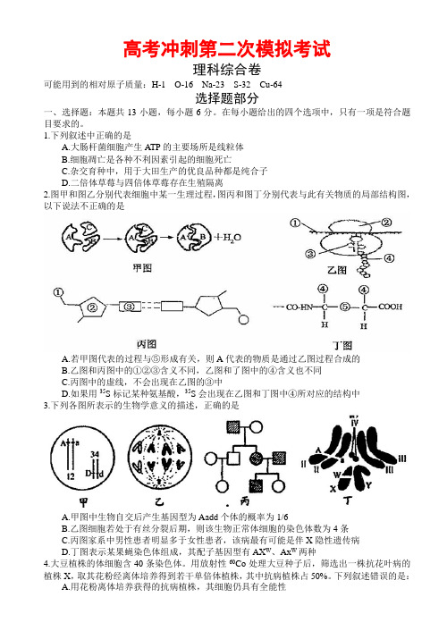 高考冲刺第二次模拟考试理科综合试题(含答案)