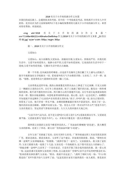 2019有关于小升初的满分作文5篇 