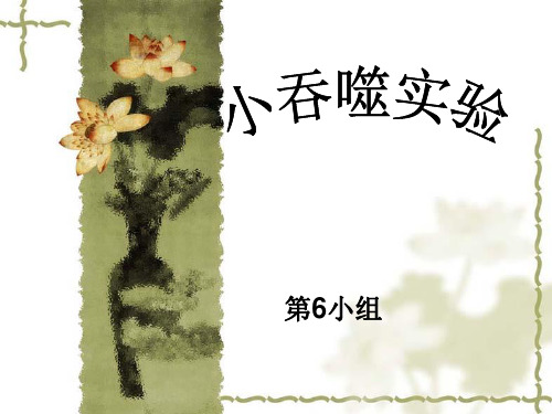 小吞噬实验