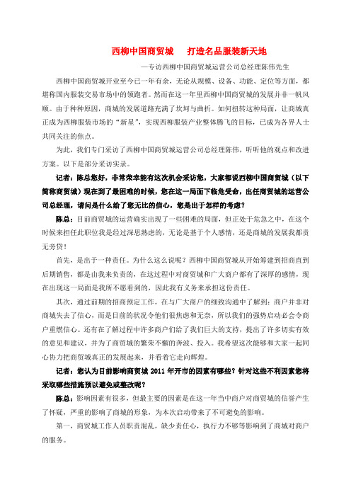陈总专访