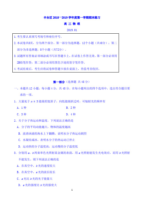 北京市丰台区2019届高三上学期期末练习物理试题 Word版含答案