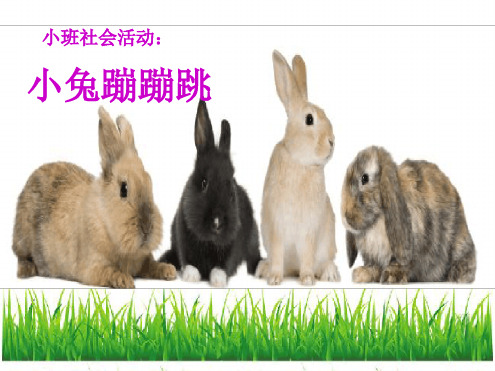 幼儿园课件—小兔蹦蹦跳