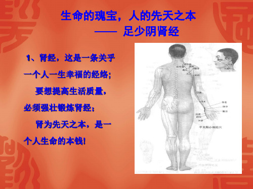 肾经