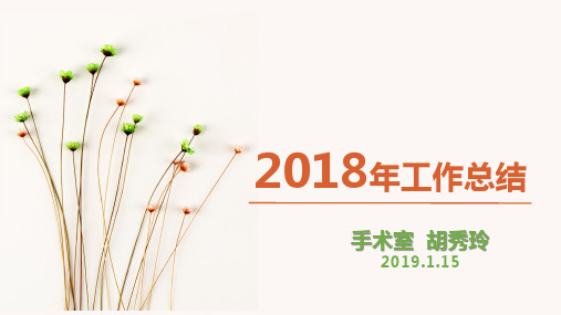 2018年手术室工作总结