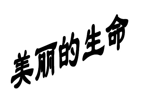 四年级上册品德与社会PPT优秀课件-1.1美丽的生命 ｜人教新课标 (共37张)